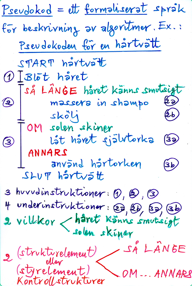 Pseudokod Hartvatt 1.jpg