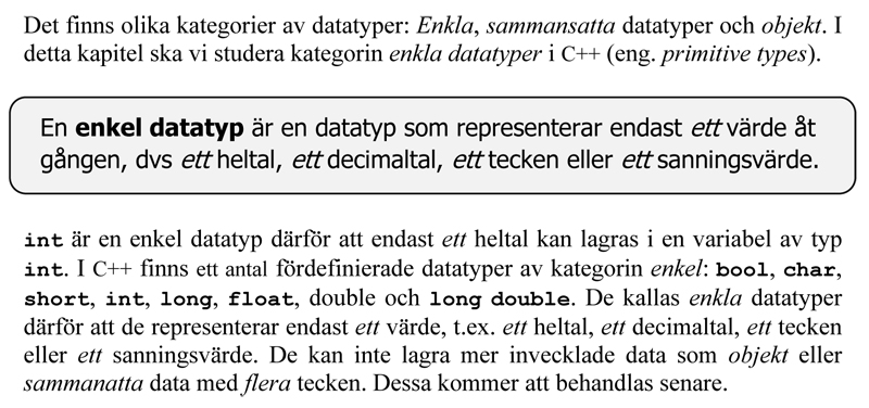 Vad enkel datatyp.jpg